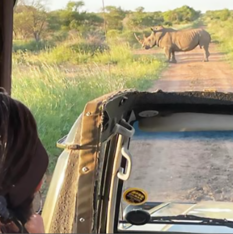 Screenshot 2023-09-26 132449