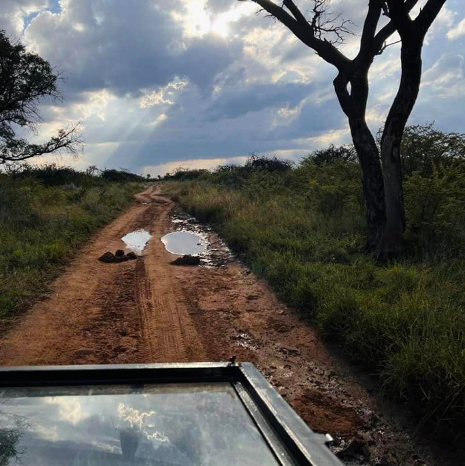 Screenshot 2023-09-26 132805