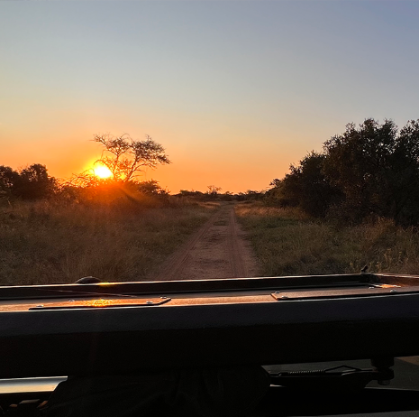 Screenshot 2023-09-26 133110