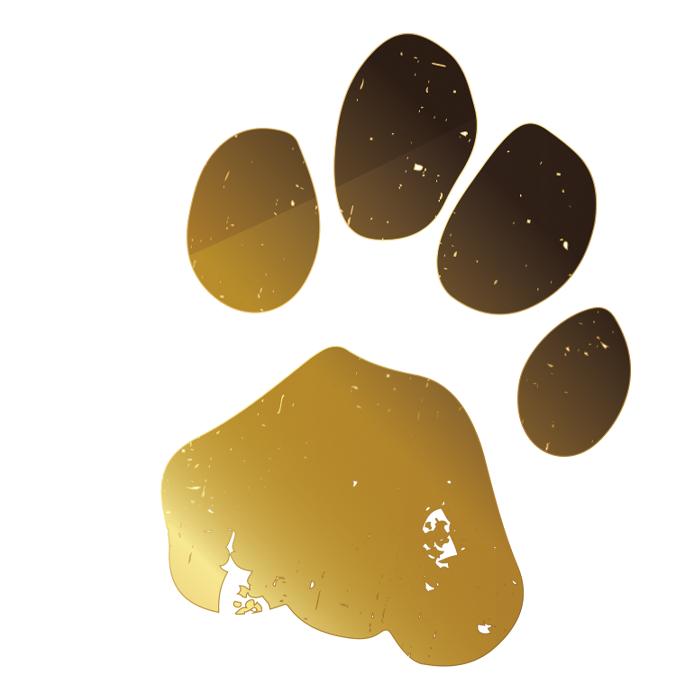 Paw- edited